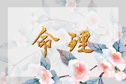 在线日历|干支纪年日历|今天干支日历|万年历日历黄历|2026日历表